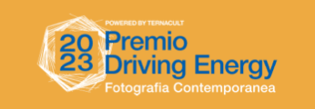 Logo Premio Driving Energy
